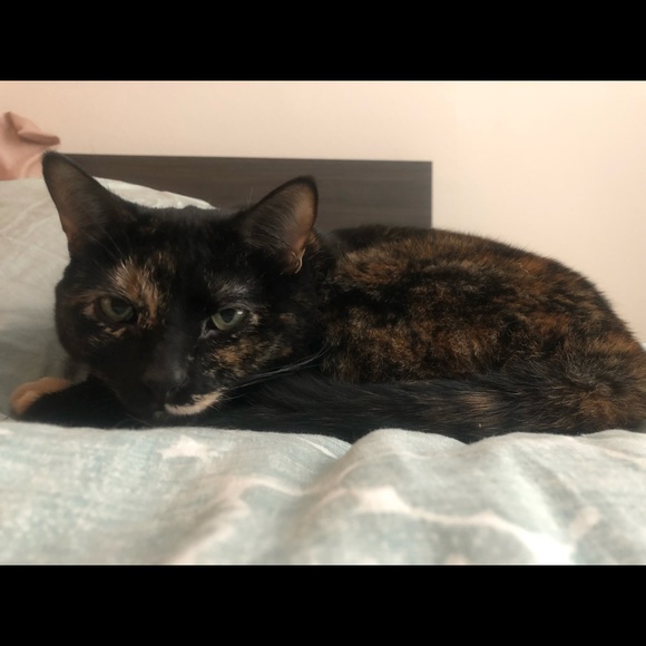 Meet your Posher, Araly - Picture 4 of 8